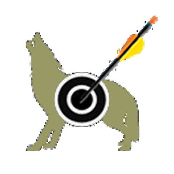 Archery Score Master Pro游戏截图1