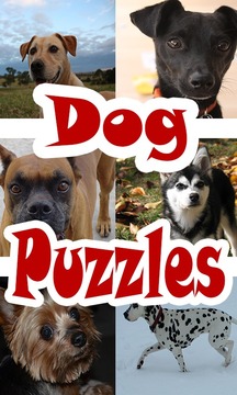 Sliding Dog Puzzles游戏截图1