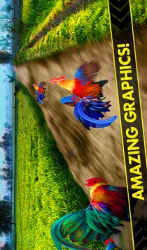 Rooster Race and Run Game游戏截图4