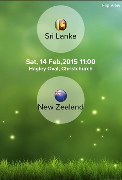 Cricket Worldcup 2015游戏截图5