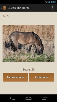 Guess The Horse!游戏截图3