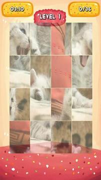 Silvery Kitten Jigsaw Puzzle游戏截图3
