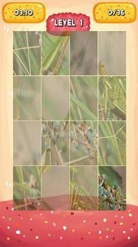 Grasshopper Jigsaw Puzzles游戏截图3