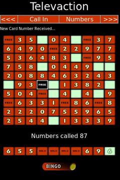 Phone Number Bingo游戏截图2