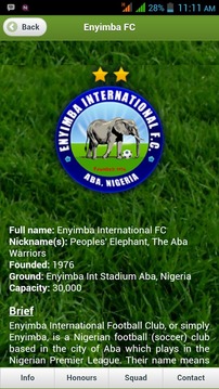 Nigeria Premier League游戏截图4