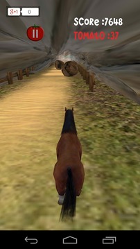 Horse Rush 3D游戏截图5