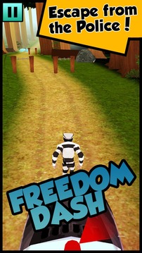 Freedom Dash游戏截图1