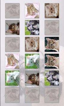 Cats Memory Game Free游戏截图4