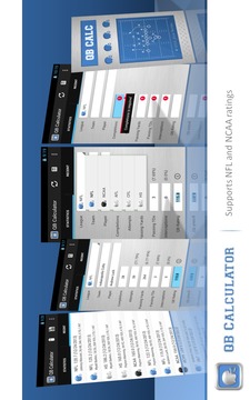 QB Calculator游戏截图1