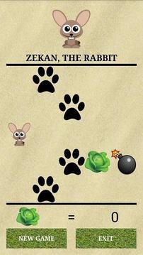 Feed The Rabbit游戏截图2
