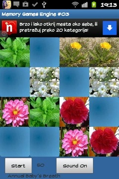 Memory game - Flowers游戏截图2