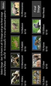 World Mammal - Animal Quiz游戏截图3