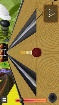 Real Ten Pin Bowling 3D游戏截图5