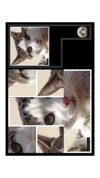 Puzzle Kitty Pets游戏截图1