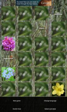 Spring Flowers: Memory (Free)游戏截图3