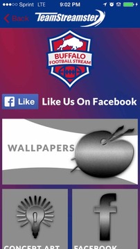 Buffalo Football STREAM游戏截图5