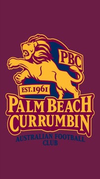 Palm Beach Currumbin AFC游戏截图1