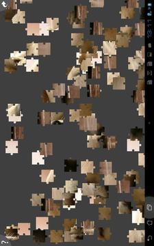 Dogs Jigsaw Puzzles游戏截图3