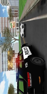 Police VS Robbers游戏截图4