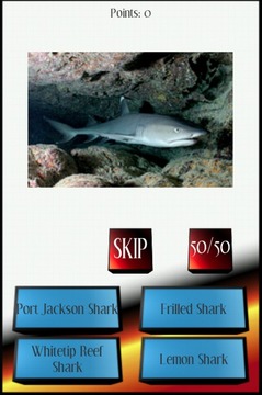 Sharks Picture Quiz游戏截图3