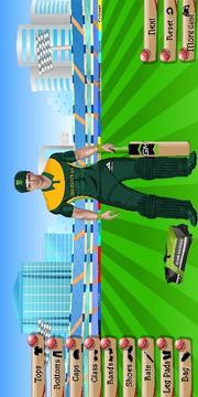 Cricket Team DressUp游戏截图4