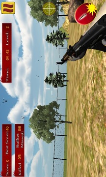 Crow Hunting游戏截图5