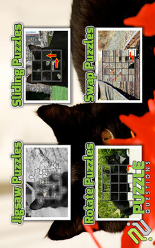 Free Black Cat Puzzles游戏截图2