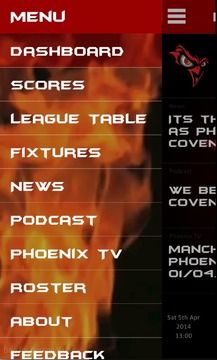 Manchester Phoenix游戏截图4