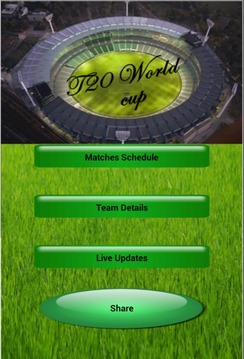 T20 2014 World Cup Live游戏截图5