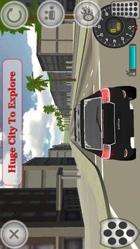 Police Car Simulator游戏截图1