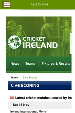 Irish Cricket游戏截图3