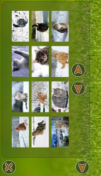 Cats Puzzle游戏截图3