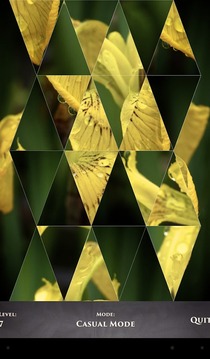 PuzzleSwap - Flower Flippin游戏截图4