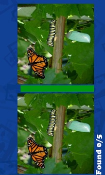 Whats Missing?游戏截图3