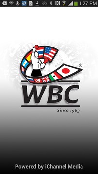 WBC Boxing游戏截图1