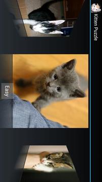 Cute Kittens Puzzle游戏截图1