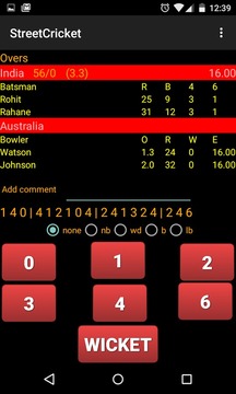 Cricket scorer游戏截图4