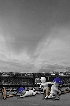 Power Stick Cricket游戏截图5