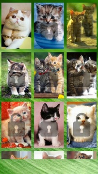 Cute Cat Swap Puzzle for Kids游戏截图1