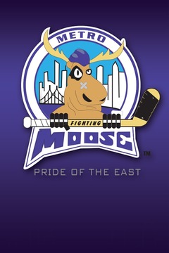 Metro Moose游戏截图1