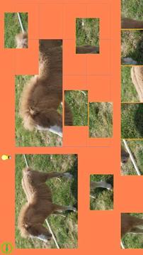 Horse Puzzle For Kids游戏截图4