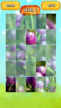 Globe amaranth Jigsaw Puzzles游戏截图5