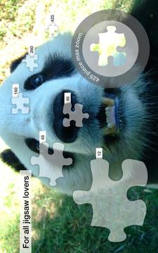 Panda Jigsaw Puzzles游戏截图2