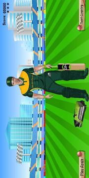 Cricket Team DressUp游戏截图5