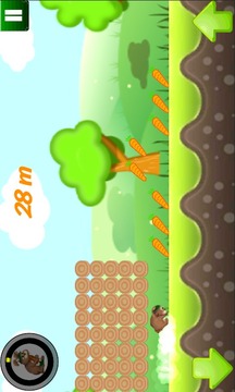 Bunny Run 2D游戏截图2