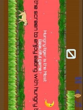 Hungry Tiger Eats游戏截图2