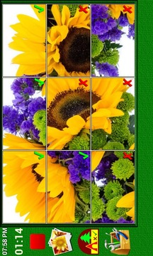 Preschool Flower Jigsaw Puzzle游戏截图3