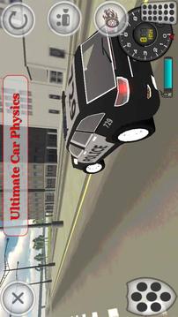 Police Car Simulator游戏截图2