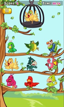 Happy Bird - free puzzle game游戏截图2