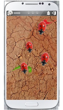 Crush Ants 3D游戏截图3